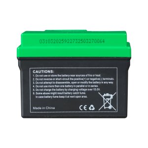 Аккумулятор FUBAG li-ion 3Ah для инверторного генератора TI 11000 A ES (арт. 646211) купить в Пскове